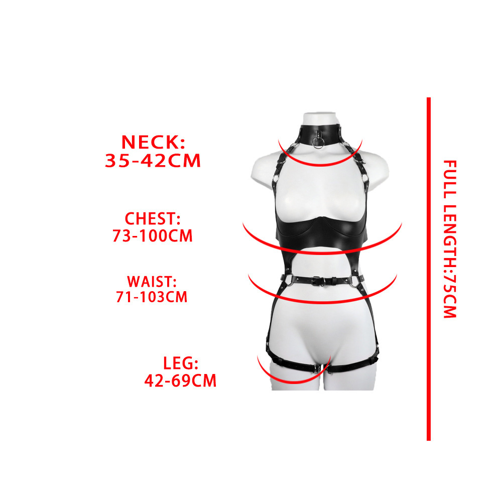 Ensemble de harnais en cuir po - Leather Work Harness avis et prix